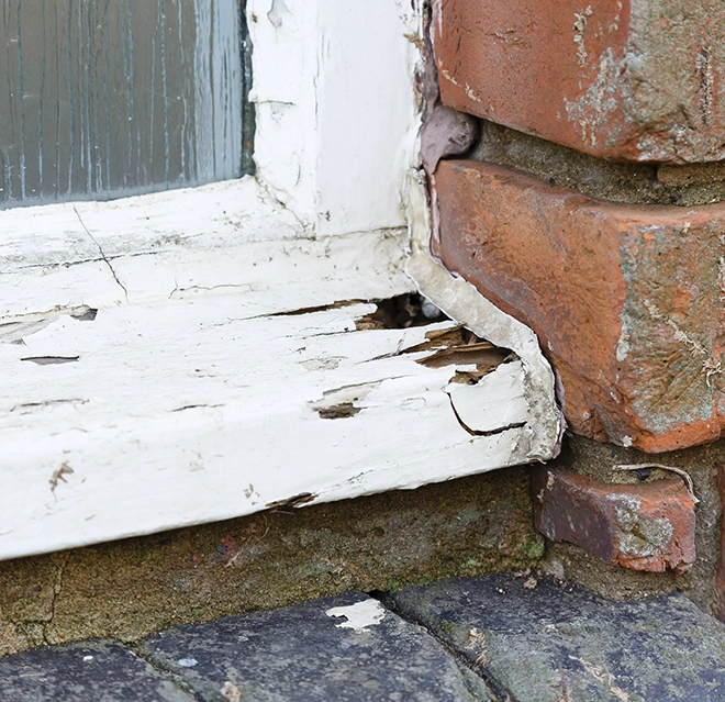 Close-up of a weathered window ledge showing peeling white paint and visible wood damage, adjacent to a brick wall.
