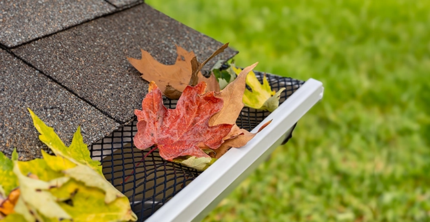 Close-up of a gutter filled with colorful autumn leaves resting against a shingled roof.