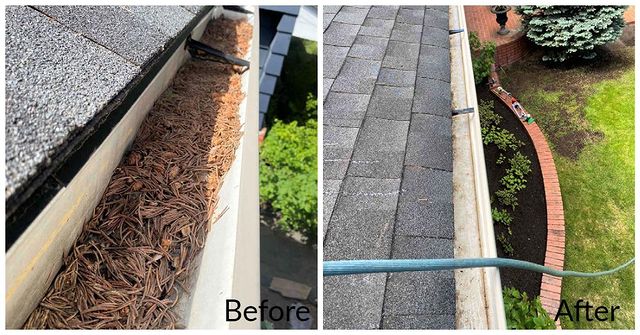 cleaned gutters cluttered with leaves